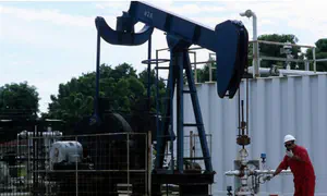 החיפושים אחר הזהב השחור נמשכים