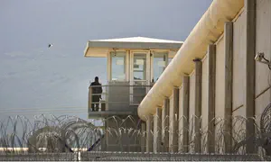 110 террористов умерли с тех пор, как Бен-Гвир стал министром