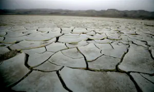 A superstitious regime, indifferent to drought