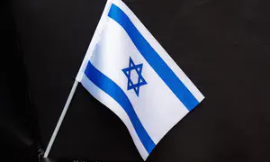 Egypt manager lunges at fan waving Israeli flag after loss