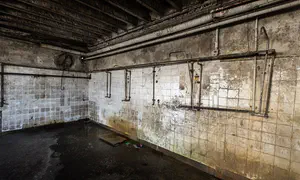 Nick Fuentes is not an authentic Holocaust denier