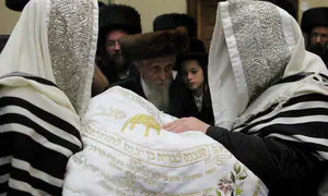 'Stop the criminalization of Jewish circumcision in Belgium'