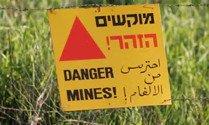 На Голанских высотах уничтожено более 700 мин