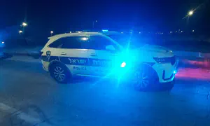 חשד: בן זוגה של זמרת מפורסמת תקף שורד שבי