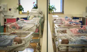 דו"ח טאוב: הגידול באוכלוסייה נבלם