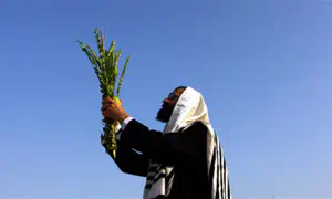 A thousand etrogim cannot replace one aravah