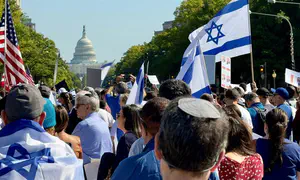 Fight! Fight! Fight!