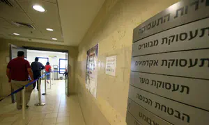 יותר אקדמאים ומנהלים מחפשים עבודה