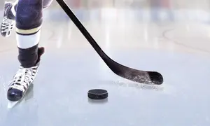 St. Louis Blues condemn antisemitic protest during game
