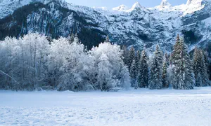 שלג כבד בפריז, מינוס 10 בלונדון