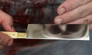 לשקול מחדש את הגבלת גיל השוחטים ל-80