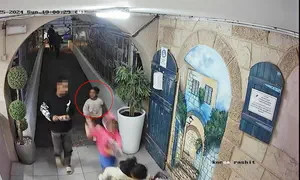 היעלמותה של היימנוט, השאלות הפתוחות