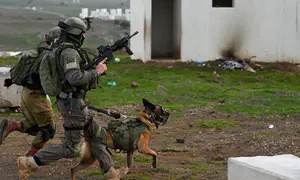 Dismissal of dog handler left us without crucial support