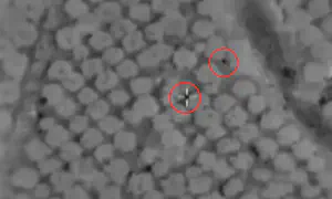 IDF eliminates two key Hezbollah terrorists in southern Lebanon