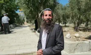 סערת המסיק: הפסיקה של הרב מרדכי אליהו