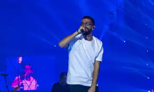 הסטירה למאבטח והתגובה של חנן בן ארי