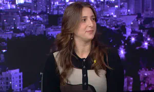 Дочь министра иностранных дел вновь критикует правительство