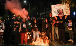 מחאה לגיטימית על הדמוקרטיה או הולכת שולל?