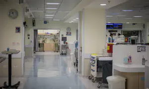 תינוק הורעל לאחר שאכל דבש