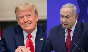 Gaza - The little ewe