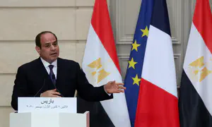 Egypt and UAE demand immediate ceasefire in Gaza
