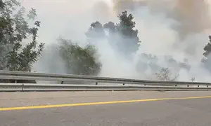12 injured in forest fire, alert raised to highest level
