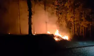 לאורך השבת: מאות שריפות ברחבי הארץ