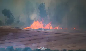 אלה האתרים שיהיו סגורים ביום העצמאות