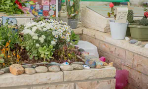 אבנים מקושטות מקברי נופלים – פונו ונזרקו