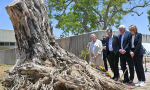 German President visits Kibbutz Be'eri