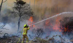 Over 190 fires erupt across Israel amid extreme heatwave