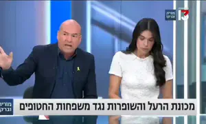 "הלוואי שיחטפו לך את הילד"