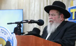 ההפגנות מזיקות, מרגילות לאלימות