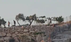 Arab and leftist mob attack Jewish shepherd