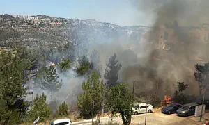 שריפה משתוללת ביער בירושלים, מוסדות פונו