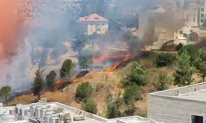 Forest fire in Jerusalem forces children to evacuate
