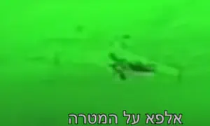 Watch: IAF combat helicopters down Iranian drones