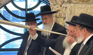 "להגיד תודה אינסופית - ולהתפלל"