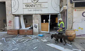 Israel Dog Unit joins search operations in Be'er Sheva