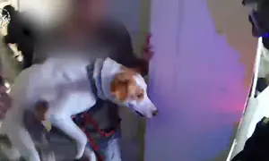 Officers rescue residents & pets after missile strike in Tel Aviv