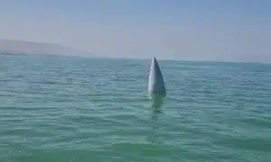 Intercepted missile discovered in Kinneret