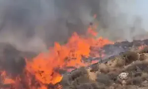 כבאות והצלה: השריפה ליד אפרת - הצתה