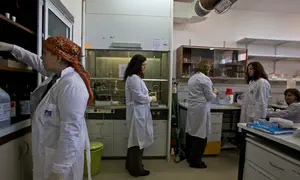 The life-saving Weizmann Institute and the masochistic West