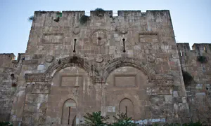 בית המשפט לא קיבל את התירוץ על "פטר חמור"