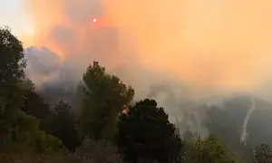 Forest fire rages in the Jerusalem mountains