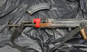 Israelis who entered Syria return with an unusual 'souvenir'