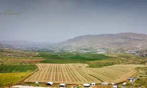 How 100 agricultural farms are protecting Israel's land