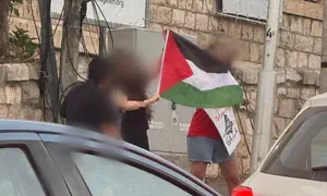 14 arrested at pro-Palestinian rally in Haifa