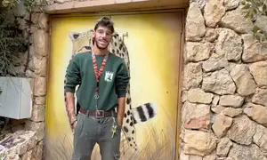 عامل في حديقة الحيوانات بالقدس يُقتل بهجوم نمر