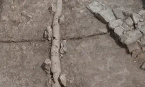 A magnificent tragedy